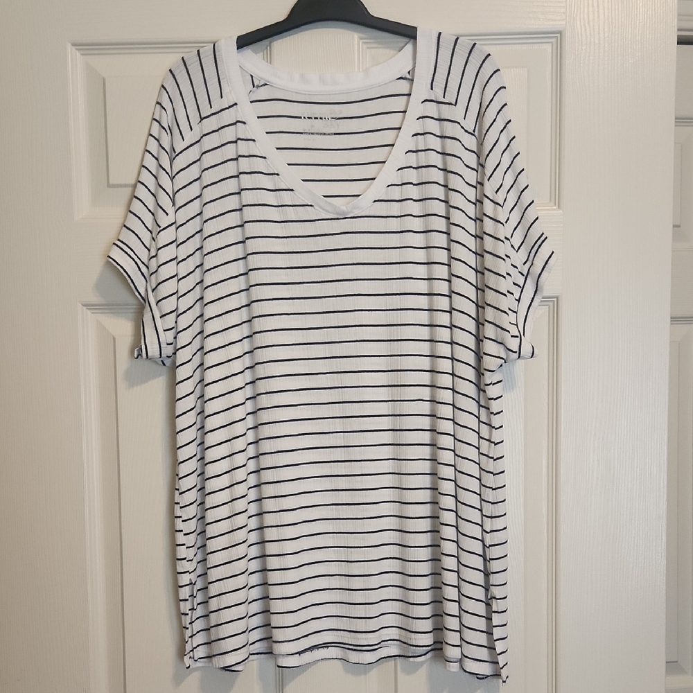 Terra & Sky V-Neck Short Sleeve Striped Shirt, 2X (20W-22W)